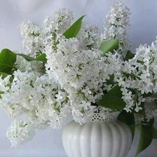 Схема вышивки «№2519781»