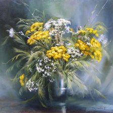 Полевые цветы