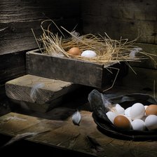 Схема вышивки «Утро в курятнике»