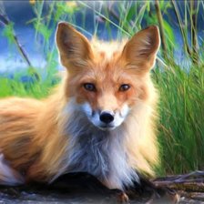 Схема вышивки «Лиса»