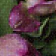 Предпросмотр схемы вышивки «Тюльпаны» (№2520351)