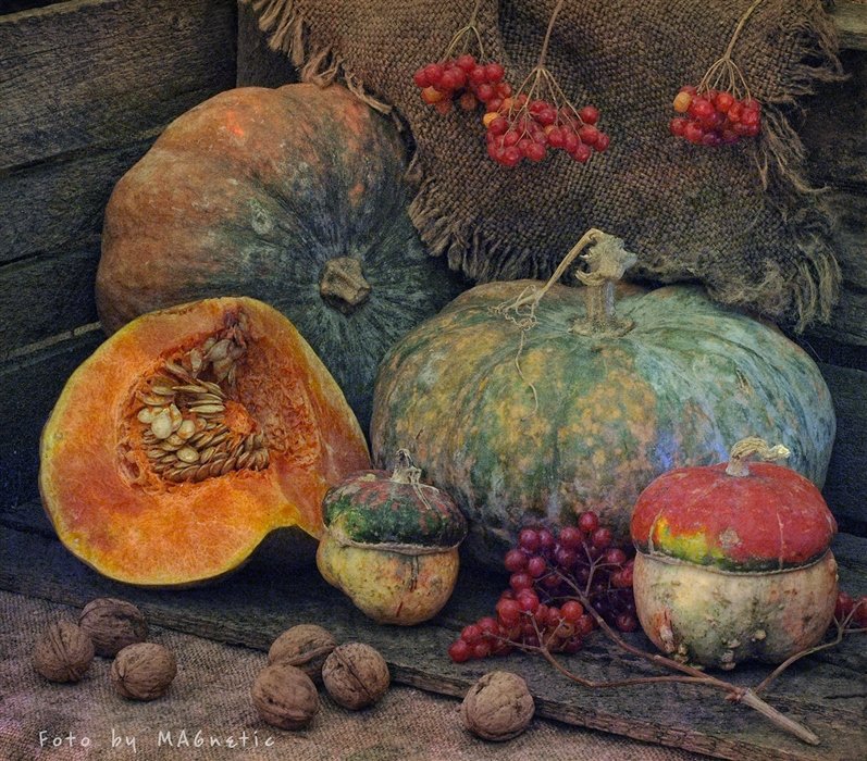 Тыквы - натюрморт - оригинал