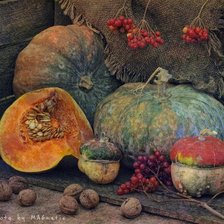 Тыквы