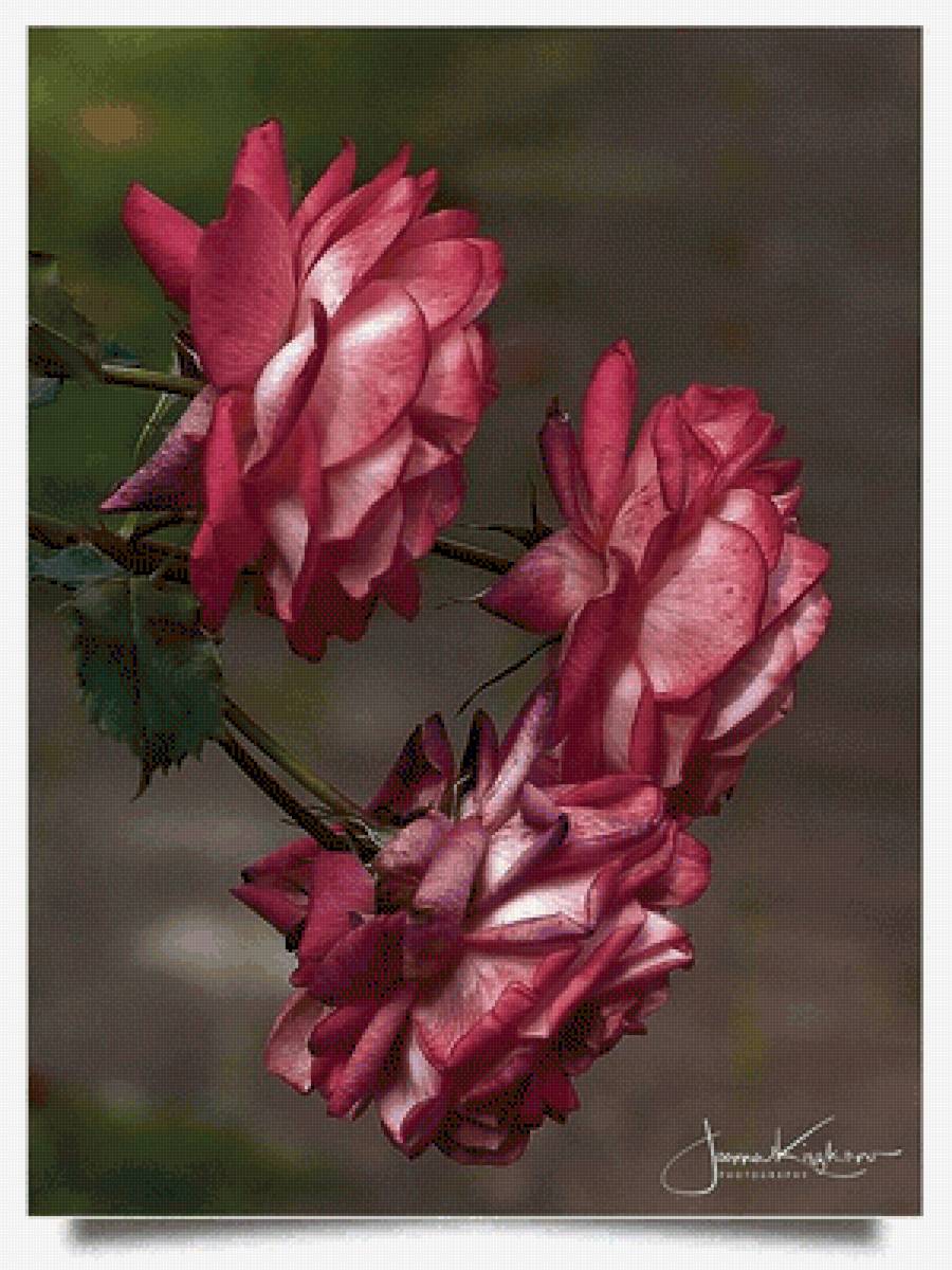 №2520546 - предпросмотр