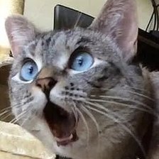 Схема вышивки «№2520842»