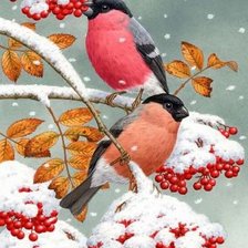 Схема вышивки «№2520988»