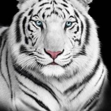 Схема вышивки «№2520992»