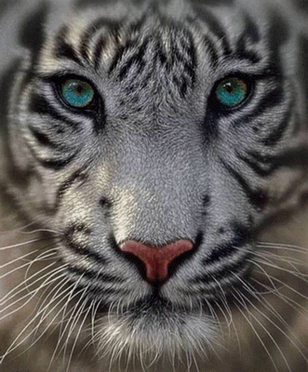 №2520995 - предпросмотр