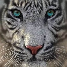 Схема вышивки «№2520995»