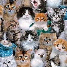 Схема вышивки «№2521131»