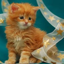 Схема вышивки «№2521172»