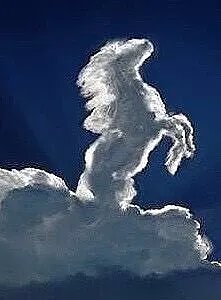 №2521204 - оригинал