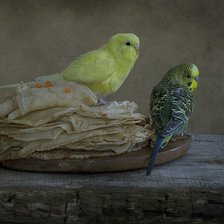 Схема вышивки «Не только коту масленица»