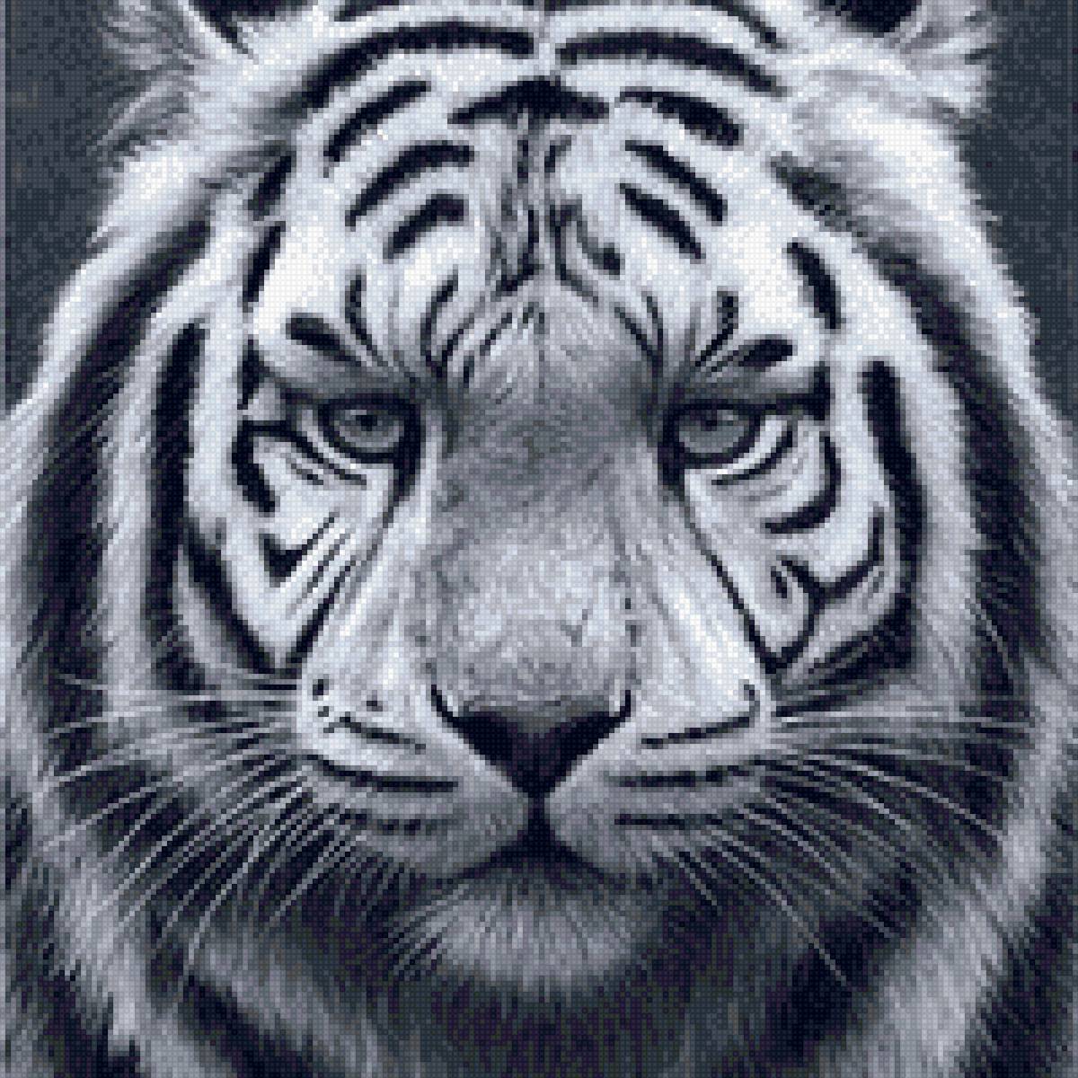 Тигр. - тигр. кошки. дикие - предпросмотр