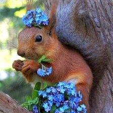 Схема вышивки «№2521467»