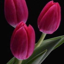 Схема вышивки «№2521470»