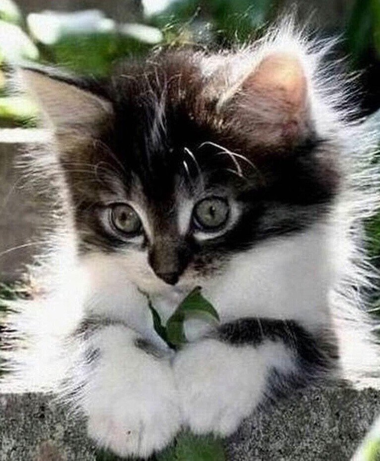 №2521507 - оригинал