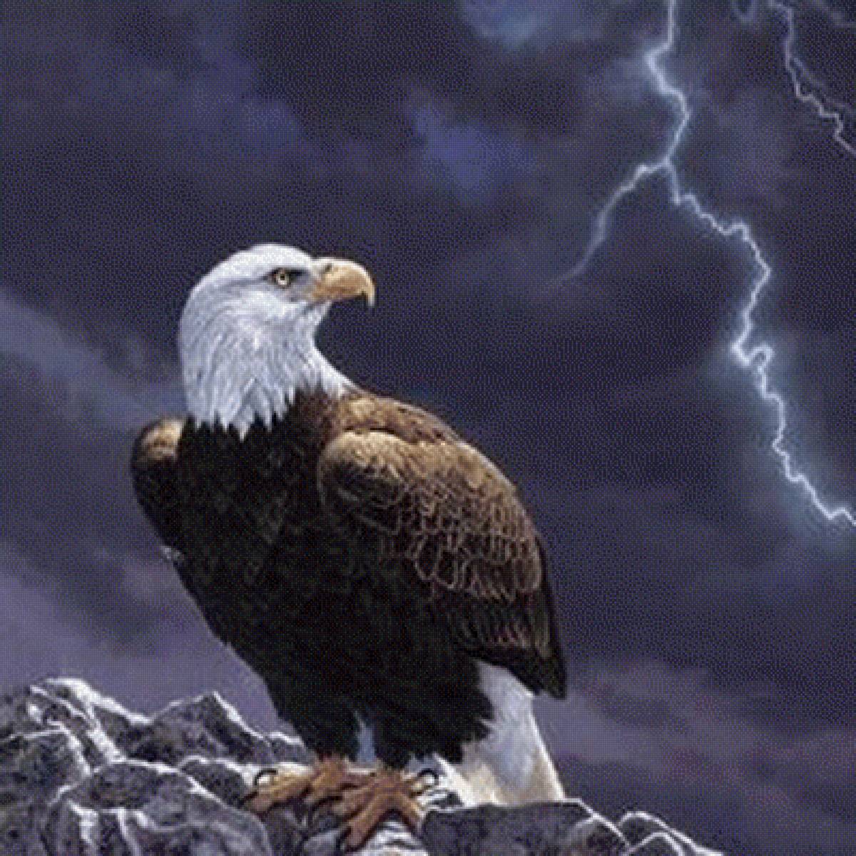 №2521511 - предпросмотр