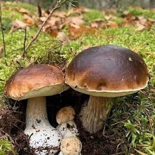 Схема вышивки «№2521521»