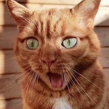 Схема вышивки «№2521543»