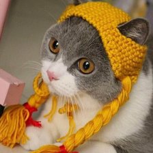 Схема вышивки «№2521559»