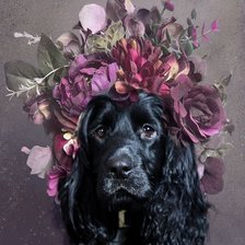 Схема вышивки «№2521767»