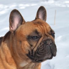 Схема вышивки «№2521780»