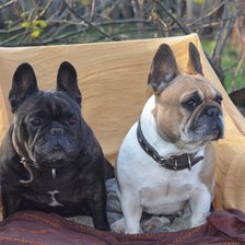 Схема вышивки «№2521785»