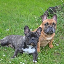 Схема вышивки «№2521788»