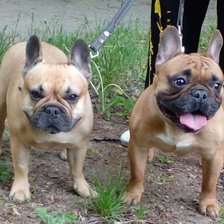 Схема вышивки «№2521791»