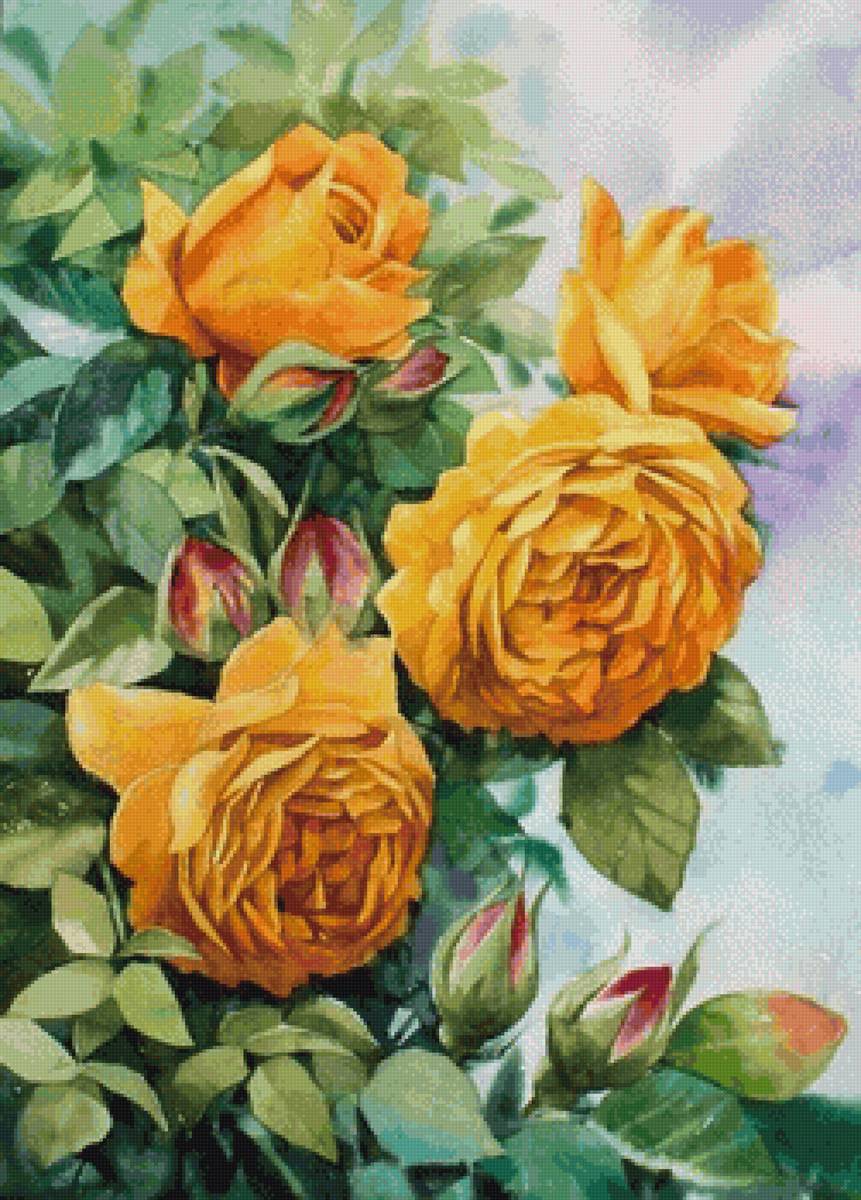 Желтые розы - розы, цветы - предпросмотр