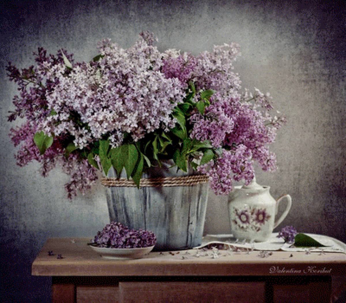 Сирень цветет - сирень, цветы, букет, натюрморт - предпросмотр