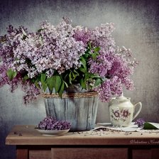 Схема вышивки «Сирень цветет»