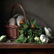 Схема вышивки «Патиссоны»