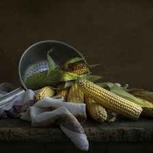 Царица полей