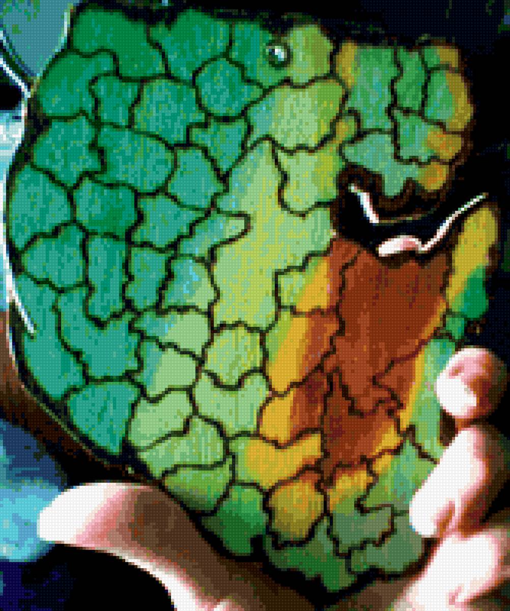 карта башкирии - карта, башкорт - предпросмотр