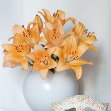 Желтые лилии