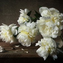 Схема вышивки «Пионы»