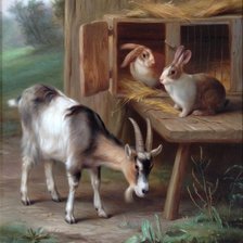 Схема вышивки «Домашние животные»