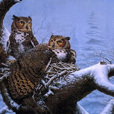 Схема вышивки «№2523259»