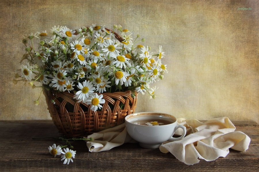№2523370 - корзина, чай, натюрморт, ромашки - оригинал