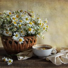 Схема вышивки «№2523370»