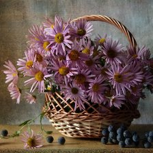 Схема вышивки «№2523377»