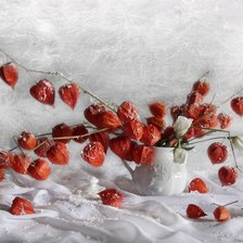 Схема вышивки «Зимний букет»