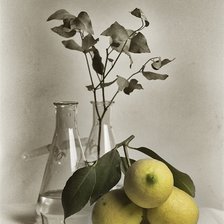 Схема вышивки «Лимоны»