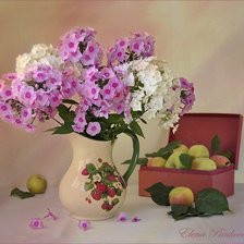 Схема вышивки «Флоксы»