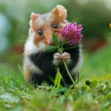 Схема вышивки «Это Вам»