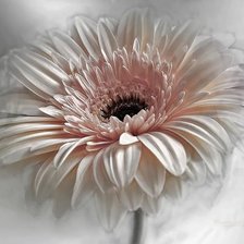 Схема вышивки «№2523762»