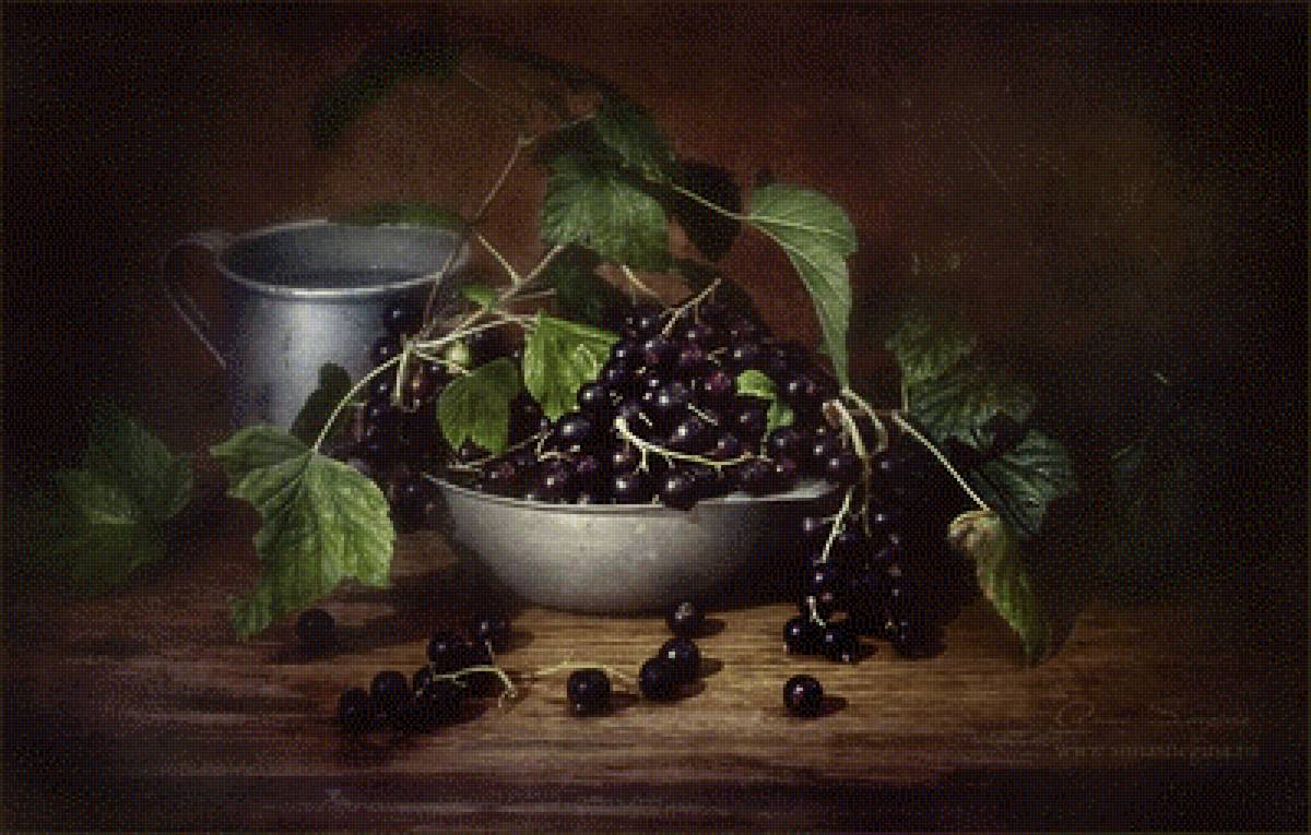 Черная смородина - натюрморт, смородина - предпросмотр