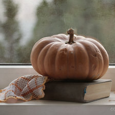 Схема вышивки «Для Золушки»